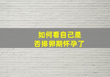 如何看自己是否排卵期怀孕了