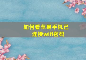 如何看苹果手机已连接wifi密码