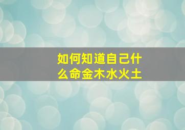 如何知道自己什么命金木水火土