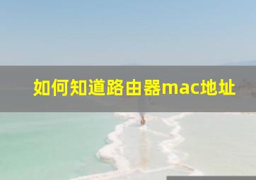 如何知道路由器mac地址