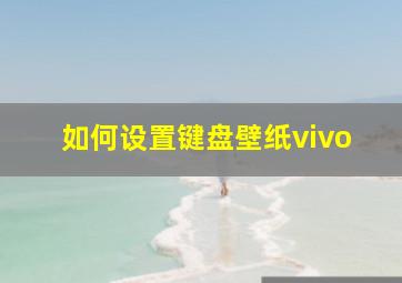 如何设置键盘壁纸vivo