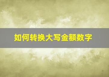 如何转换大写金额数字