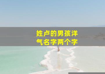 姓卢的男孩洋气名字两个字