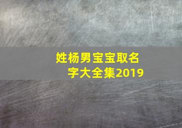 姓杨男宝宝取名字大全集2019