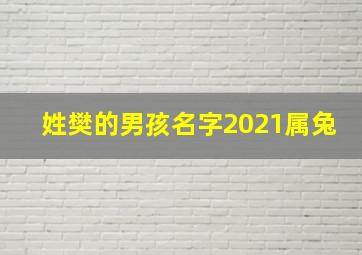 姓樊的男孩名字2021属兔