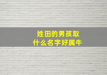 姓田的男孩取什么名字好属牛