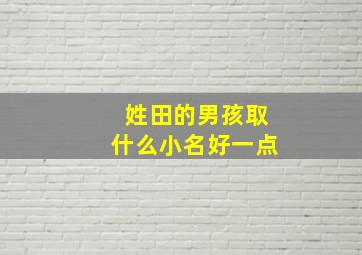 姓田的男孩取什么小名好一点