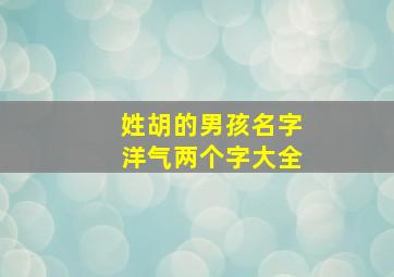 姓胡的男孩名字洋气两个字大全