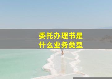 委托办理书是什么业务类型