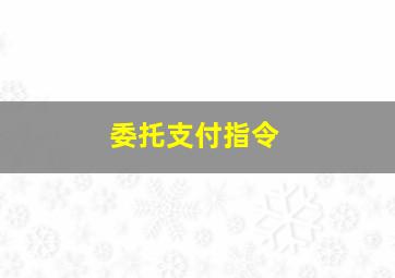 委托支付指令