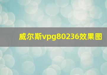 威尔斯vpg80236效果图