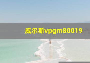 威尔斯vpgm80019