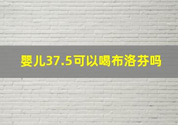 婴儿37.5可以喝布洛芬吗