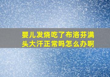 婴儿发烧吃了布洛芬满头大汗正常吗怎么办啊