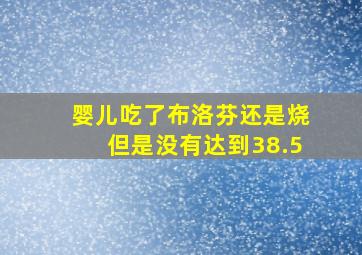 婴儿吃了布洛芬还是烧但是没有达到38.5