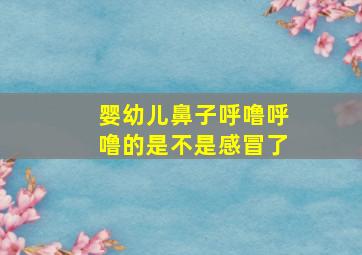 婴幼儿鼻子呼噜呼噜的是不是感冒了