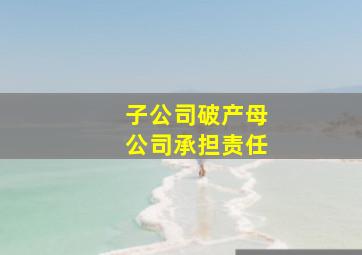 子公司破产母公司承担责任