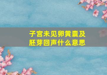 子宫未见卵黄囊及胚芽回声什么意思