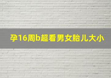 孕16周b超看男女胎儿大小