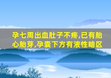 孕七周出血肚子不疼,已有胎心胎芽,孕囊下方有液性暗区