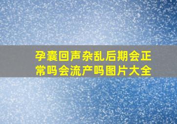 孕囊回声杂乱后期会正常吗会流产吗图片大全