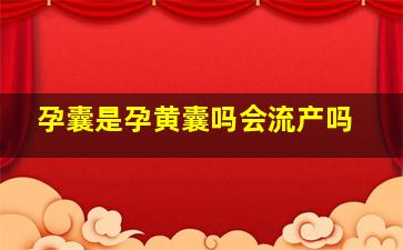 孕囊是孕黄囊吗会流产吗