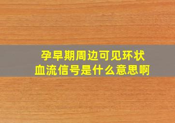 孕早期周边可见环状血流信号是什么意思啊