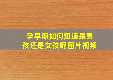 孕早期如何知道是男孩还是女孩呢图片视频