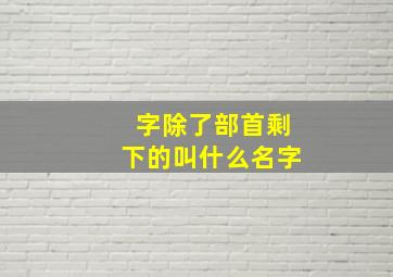 字除了部首剩下的叫什么名字