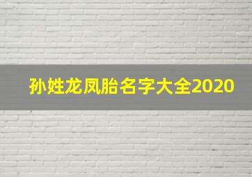 孙姓龙凤胎名字大全2020