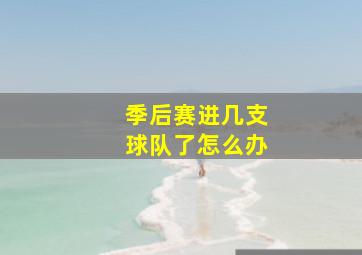 季后赛进几支球队了怎么办