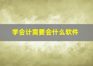 学会计需要会什么软件