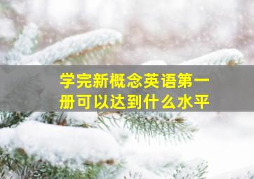 学完新概念英语第一册可以达到什么水平