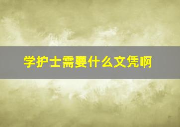 学护士需要什么文凭啊