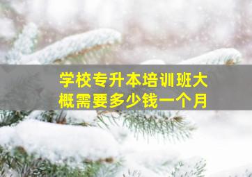 学校专升本培训班大概需要多少钱一个月