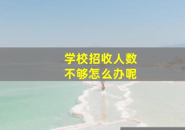 学校招收人数不够怎么办呢