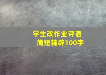 学生改作业评语简短精辟100字