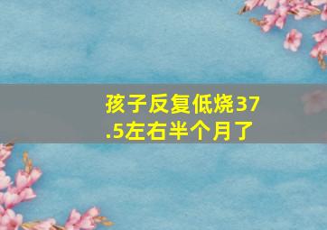 孩子反复低烧37.5左右半个月了