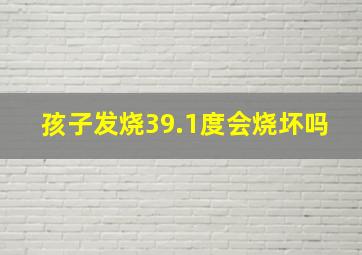 孩子发烧39.1度会烧坏吗