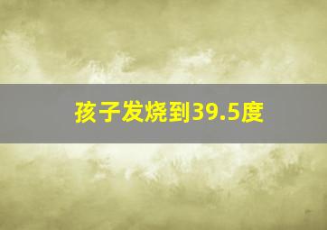 孩子发烧到39.5度