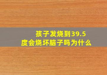 孩子发烧到39.5度会烧坏脑子吗为什么