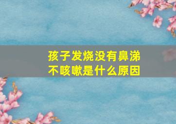 孩子发烧没有鼻涕不咳嗽是什么原因