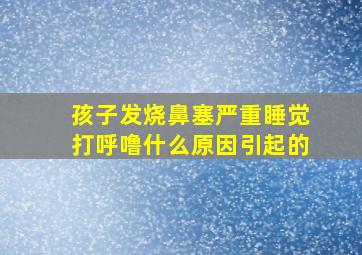 孩子发烧鼻塞严重睡觉打呼噜什么原因引起的