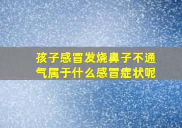 孩子感冒发烧鼻子不通气属于什么感冒症状呢