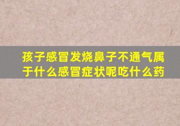 孩子感冒发烧鼻子不通气属于什么感冒症状呢吃什么药