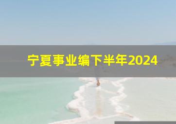 宁夏事业编下半年2024