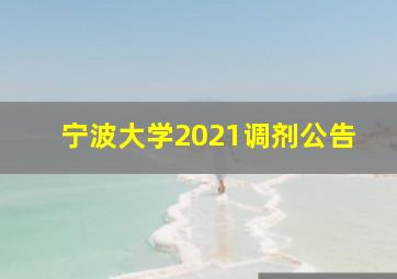 宁波大学2021调剂公告