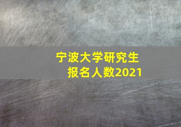 宁波大学研究生报名人数2021