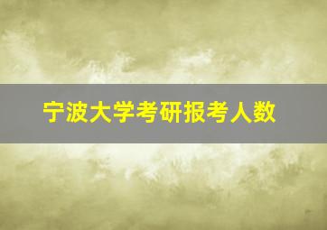 宁波大学考研报考人数