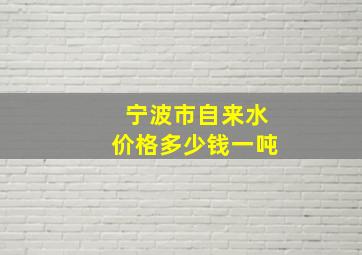 宁波市自来水价格多少钱一吨